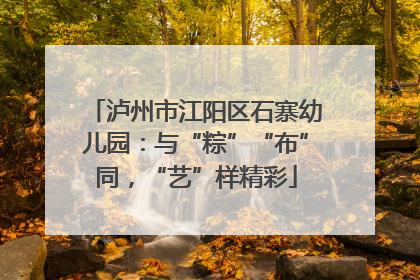 泸州市江阳区石寨幼儿园：与“粽”“布”同，“艺”样精彩