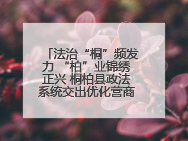 法治“桐”频发力 “柏”业锦绣正兴 桐柏县政法系统交出优化营商环境“成绩单”