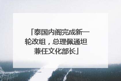 泰国内阁完成新一轮改组，总理佩通坦兼任文化部长