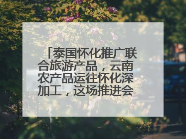 泰国怀化推广联合旅游产品，云南农产品运往怀化深加工，这场推进会干货很多