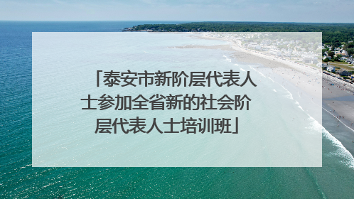 泰安市新阶层代表人士参加全省新的社会阶层代表人士培训班