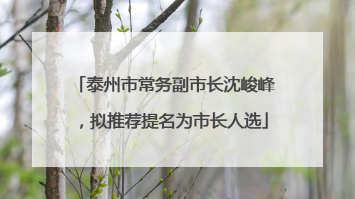 泰州市常务副市长沈峻峰，拟推荐提名为市长人选