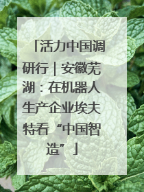 活力中国调研行｜安徽芜湖：在机器人生产企业埃夫特看“中国智造”