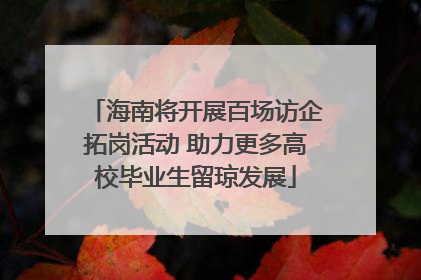 海南将开展百场访企拓岗活动 助力更多高校毕业生留琼发展