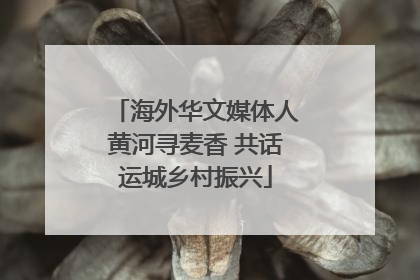 海外华文媒体人黄河寻麦香 共话运城乡村振兴