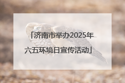 济南市举办2025年六五环境日宣传活动