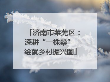 济南市莱芜区：深耕“一株桑” 绘就乡村振兴图
