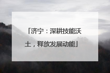 济宁：深耕技能沃土，释放发展动能
