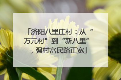 济阳八里庄村：从“万元村”到“新八里”，强村富民路正宽