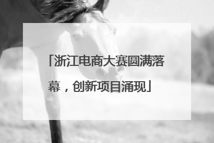 浙江电商大赛圆满落幕，创新项目涌现
