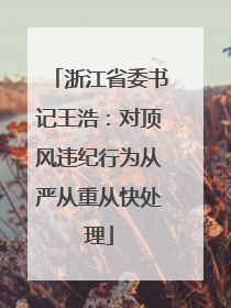 浙江省委书记王浩：对顶风违纪行为从严从重从快处理