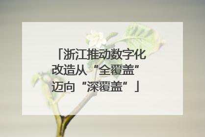 浙江推动数字化改造从“全覆盖”迈向“深覆盖”