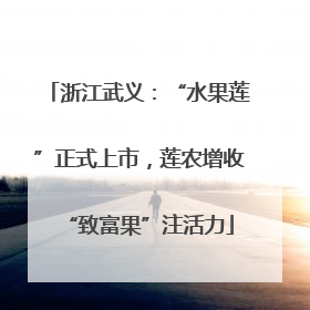 浙江武义：“水果莲”正式上市，莲农增收“致富果”注活力