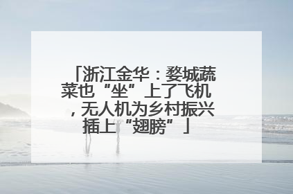 浙江金华：婺城蔬菜也“坐”上了飞机，无人机为乡村振兴插上“翅膀”