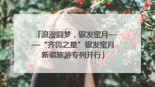 浪漫圆梦，银发蜜月——“齐鲁之星”银发蜜月新疆旅游专列开行