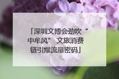 深圳文博会劲吹“中牟风” 文旅消费链引爆流量密码