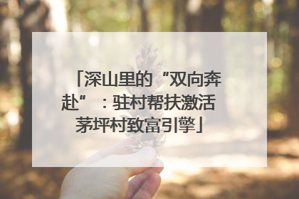 深山里的“双向奔赴”：驻村帮扶激活茅坪村致富引擎