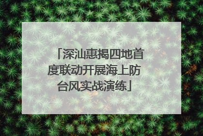 深汕惠揭四地首度联动开展海上防台风实战演练