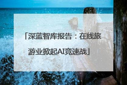 深蓝智库报告：在线旅游业掀起AI竞速战