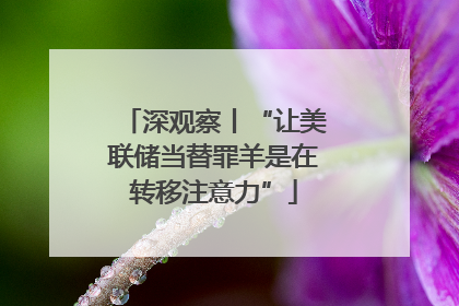 深观察丨“让美联储当替罪羊是在转移注意力”
