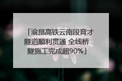 渝昆高铁云南段育才隧道顺利贯通 全线桥隧施工完成超90%