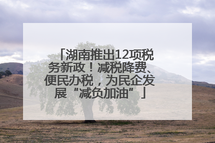 湖南推出12项税务新政！减税降费、便民办税，为民企发展“减负加油”