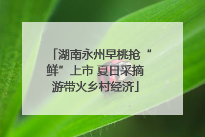 湖南永州早桃抢“鲜”上市 夏日采摘游带火乡村经济