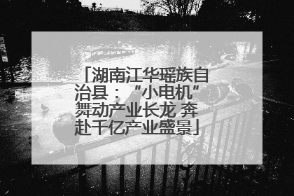 湖南江华瑶族自治县：“小电机”舞动产业长龙 奔赴千亿产业盛景