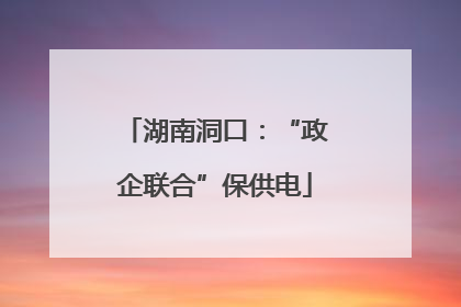 湖南洞口：“政企联合”保供电