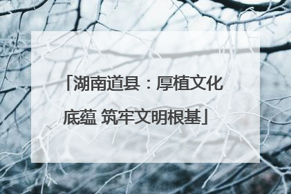 湖南道县：厚植文化底蕴 筑牢文明根基