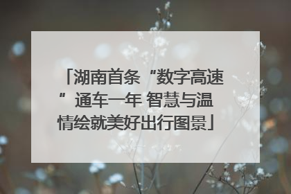 湖南首条“数字高速”通车一年 智慧与温情绘就美好出行图景