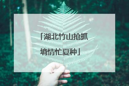 湖北竹山抢抓墒情忙夏种