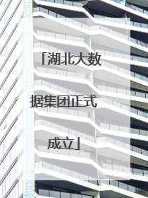 湖北大数据集团正式成立