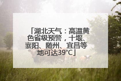 湖北天气：高温黄色省级预警，十堰、襄阳、随州、宜昌等地可达39℃