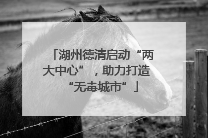 湖州德清启动“两大中心”，助力打造“无毒城市”