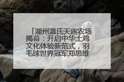 湖州温氏天露农场揭幕：开启中华土鸡文化体验新范式，羽毛球世界冠军郑思维助力品牌兴农