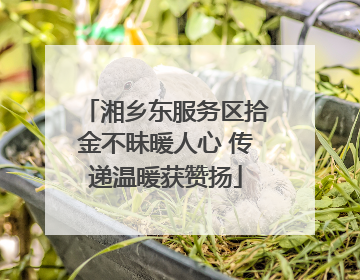 湘乡东服务区拾金不昧暖人心 传递温暖获赞扬