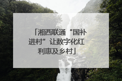 湘西联通“国补进村”让数字化红利惠及乡村