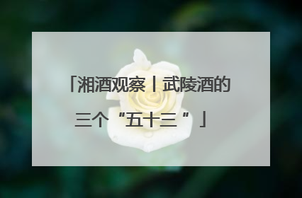 湘酒观察丨武陵酒的三个“五十三 ”