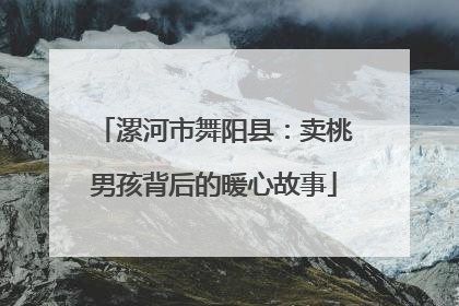 漯河市舞阳县：卖桃男孩背后的暖心故事