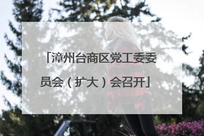 漳州台商区党工委委员会（扩大）会召开