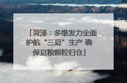 菏泽：多维发力全面护航“三夏”生产 确保夏粮颗粒归仓
