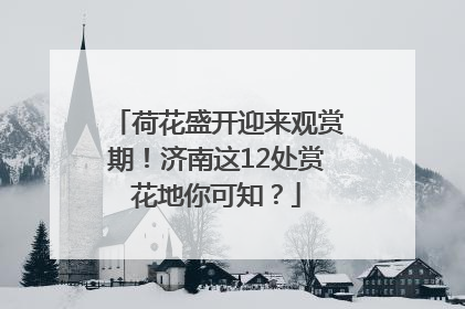 荷花盛开迎来观赏期！济南这12处赏花地你可知？