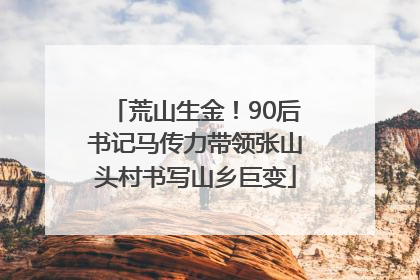 荒山生金！90后书记马传力带领张山头村书写山乡巨变