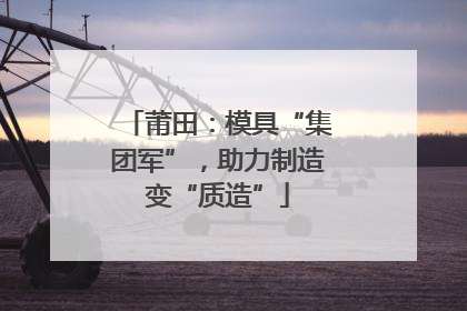 莆田：模具“集团军”，助力制造变“质造”