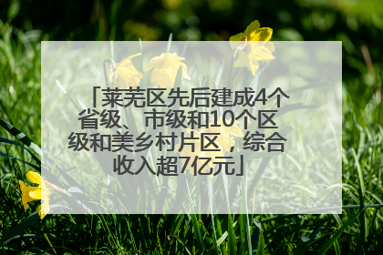 莱芜区先后建成4个省级、市级和10个区级和美乡村片区，综合收入超7亿元