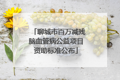 聊城市百万减残脑血管病公益项目资助标准公布