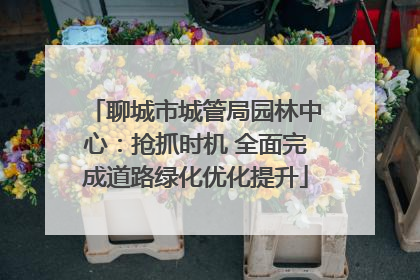聊城市城管局园林中心：抢抓时机 全面完成道路绿化优化提升