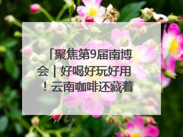 聚焦第9届南博会｜好喝好玩好用！云南咖啡还藏着多少惊喜？