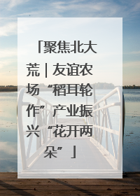 聚焦北大荒｜友谊农场“稻耳轮作”产业振兴“花开两朵”